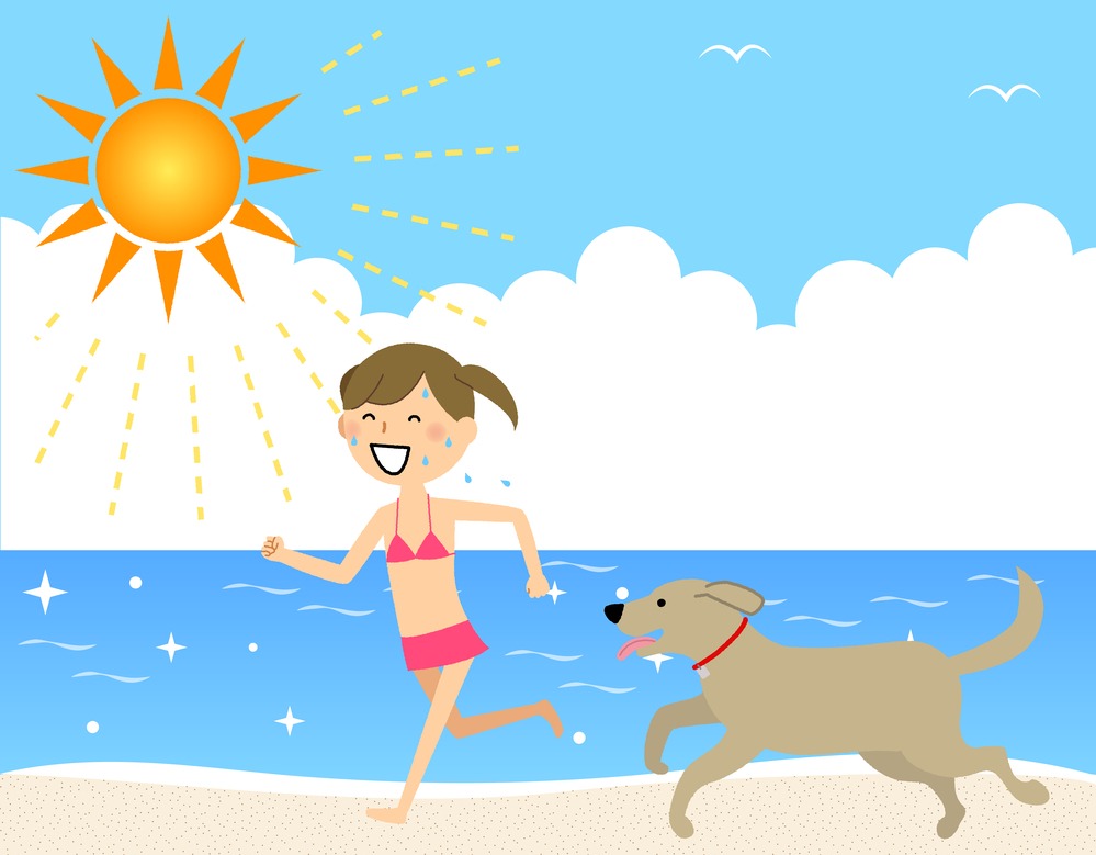 deporte con perro en la playa